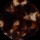 Kane Rose Petal Tort BNA847_C696OPT by Bailey Nelson